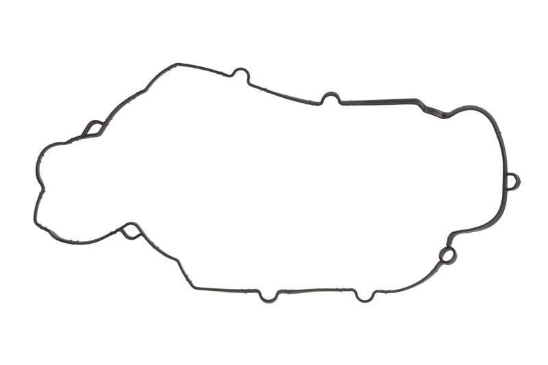 Uszczelka, pokrywa głowicy cylindrów do Porsche, 569.200, ELRING w ofercie sklepu e-autoparts.pl 