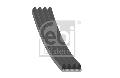 Pasek klinowy wielorowkowy do Renault, 28810, FEBI BILSTEIN w ofercie sklepu e-autoparts.pl 