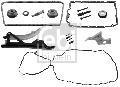 Zestaw łańcucha rozrządu do BMW, 47590, FEBI BILSTEIN w ofercie sklepu e-autoparts.pl 
