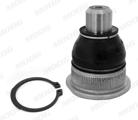 Sworzeń wahacza do Daci, RE-BJ-18065, MOOG w ofercie sklepu e-autoparts.pl 
