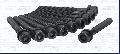 Zestaw śrub głowicy cylindrów do Audi, 81000300, AJUSA w ofercie sklepu e-autoparts.pl 