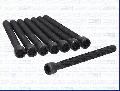 Zestaw śrub głowicy cylindrów do Forda, 81055700, AJUSA w ofercie sklepu e-autoparts.pl 