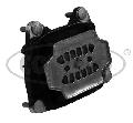Łożyskowanie do Audi, 80004588, CORTECO w ofercie sklepu e-autoparts.pl 