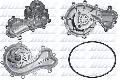 Pompa wodna do Audi, A227, DOLZ w ofercie sklepu e-autoparts.pl 