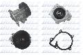Pompa wodna do Forda, F168, DOLZ w ofercie sklepu e-autoparts.pl 