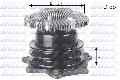 Pompa wodna do Nissana, N144, DOLZ w ofercie sklepu e-autoparts.pl 