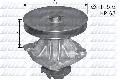 Pompa wodna do Fiata, S135, DOLZ w ofercie sklepu e-autoparts.pl 