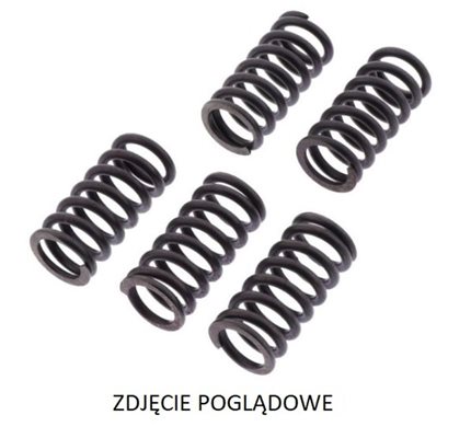 Zestaw sprężyn sprzęgła do Suzuki, MEF334-6, TRW w ofercie sklepu e-autoparts.pl 