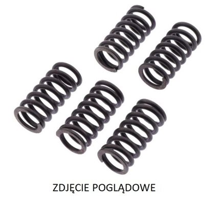 Zestaw sprężyn sprzęgła do Hondy, MEF344-5, TRW w ofercie sklepu e-autoparts.pl 