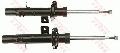 Amortyzator, TRW TWIN do Citroena, JGM5889T, TRW w ofercie sklepu e-autoparts.pl 