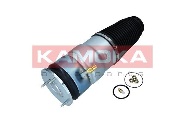 MIECH PNEUMATYCZNY PRZÓD TESLA MODEL S 12- , 2079066, KAMOKA w ofercie sklepu e-autoparts.pl 