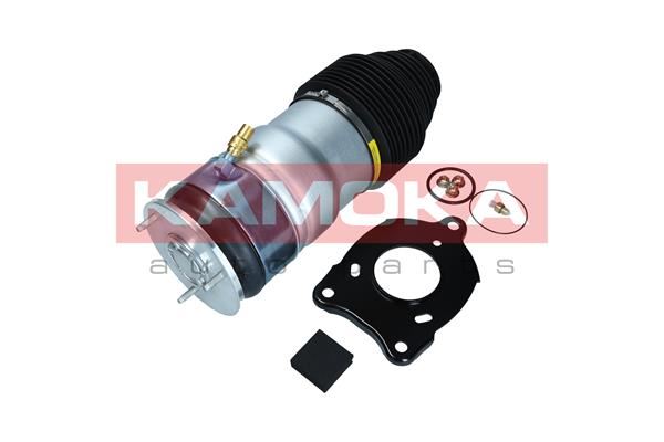 MIECH PNEUMATYCZNY TYŁ TESLA MODEL S 12- , 2079067, KAMOKA w ofercie sklepu e-autoparts.pl 