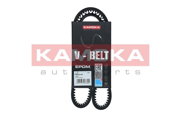 PASEK KLINOWY AVX 10 X 913 do BMW, 7010107, KAMOKA w ofercie sklepu e-autoparts.pl 