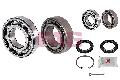 Zestaw łożysk koła do VW, 713 6115 50, FAG w ofercie sklepu e-autoparts.pl 