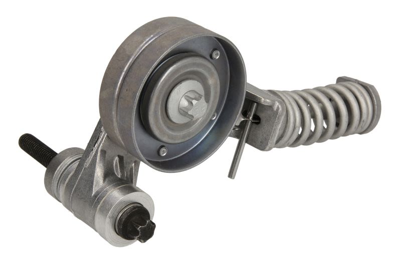 Napinacz paska klinowego wielorowkowego do Opla, 533 0085 30, INA w ofercie sklepu e-autoparts.pl 