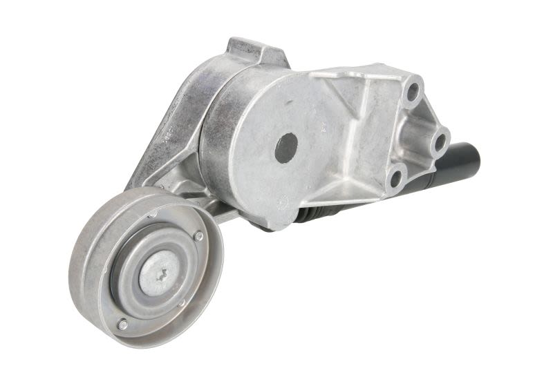 Napinacz paska klinowego wielorowkowego do VW, 533 0081 30, INA w ofercie sklepu e-autoparts.pl 