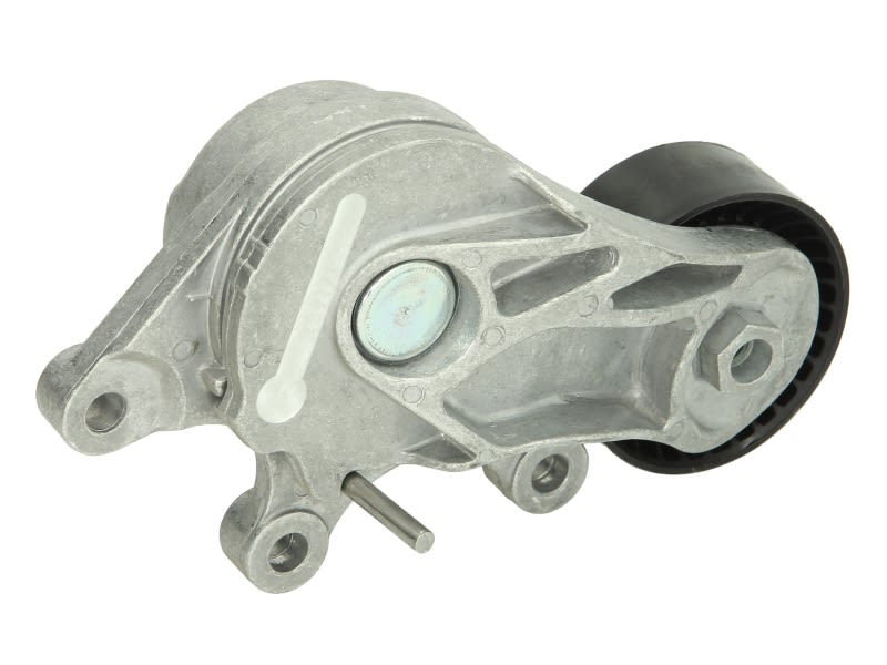 Napinacz paska klinowego wielorowkowego do BMW, 534 0535 10, INA w ofercie sklepu e-autoparts.pl 