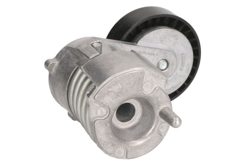 Napinacz paska klinowego wielorowkowego do Volvo, 534 0030 10, INA w ofercie sklepu e-autoparts.pl 