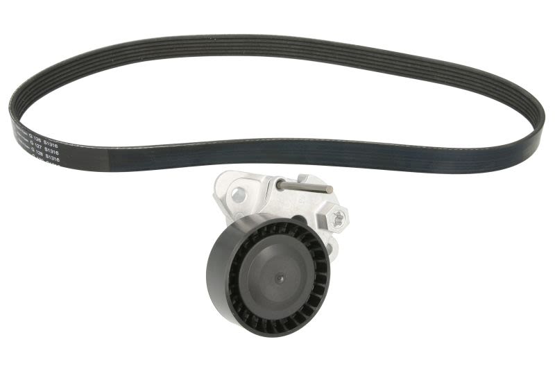 Zestaw paska klinowego wielorowkowego do Audi, 529 0159 10, INA w ofercie sklepu e-autoparts.pl 