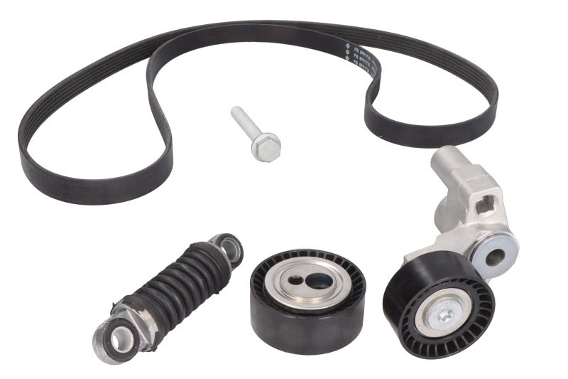 Zestaw paska klinowego wielorowkowego do Citroena, 529 0097 10, INA w ofercie sklepu e-autoparts.pl 