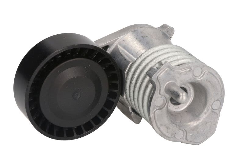 Napinacz paska klinowego wielorowkowego do Volvo, 534 0029 10, INA w ofercie sklepu e-autoparts.pl 