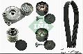 Zestaw paska klinowego wielorowkowego do Jeepa, 529 0050 20, INA w ofercie sklepu e-autoparts.pl 