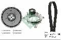 Zestaw paska klinowego wielorowkowego do BMW, 529 0488 20, INA w ofercie sklepu e-autoparts.pl 