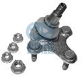 Sworzeń wahacza918203, RUVILLE/FAG w ofercie sklepu e-autoparts.pl 