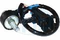 Czujnik spalania stukowego, OEM do Opla, 550724, ERA w ofercie sklepu e-autoparts.pl 