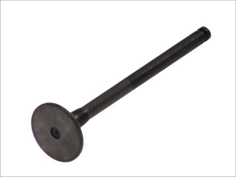 Zawór wydechowy do Mitsubishi, R6103/BMNT, FRECCIA w ofercie sklepu e-autoparts.pl 