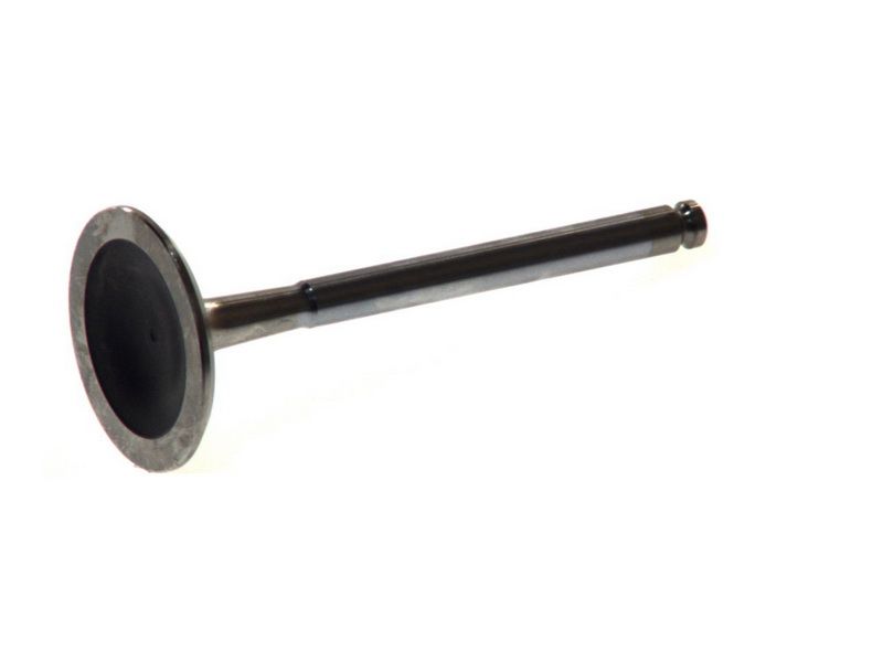 Zawór dolotowy do Fiata, R4174/RCR, FRECCIA w ofercie sklepu e-autoparts.pl 