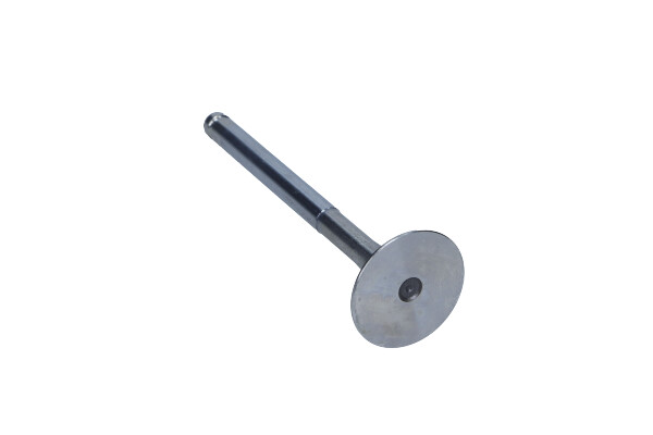 Zawór wydechowy do Volvo, R4724/RCR, FRECCIA w ofercie sklepu e-autoparts.pl 
