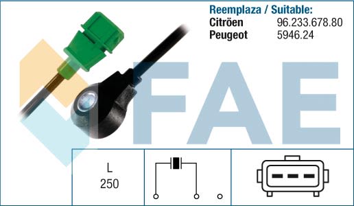 Czujnik spalania stukowego do Citroena, 60134, FAE w ofercie sklepu e-autoparts.pl 