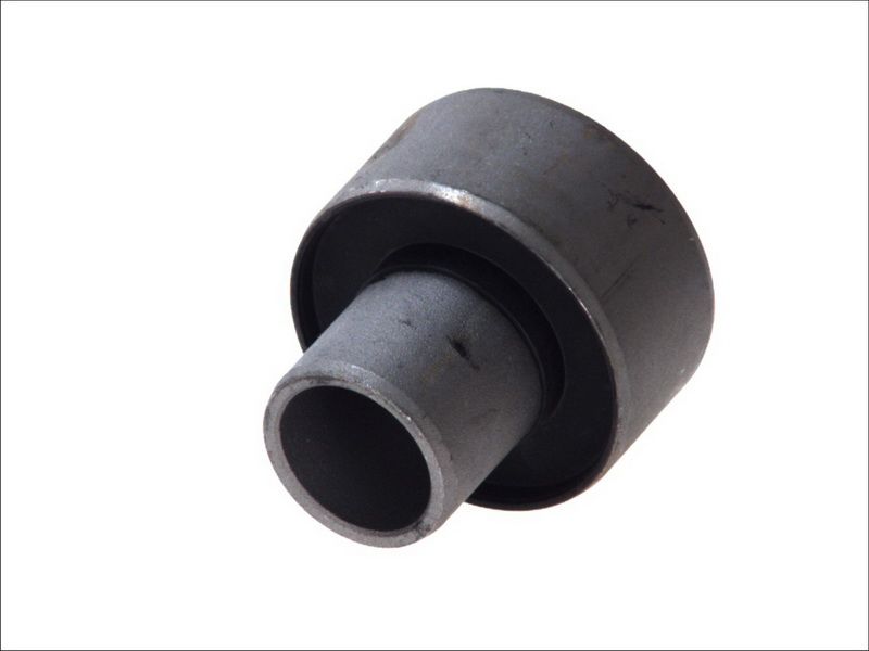 Tuleja belki do Renault, 4003385, SASIC w ofercie sklepu e-autoparts.pl 