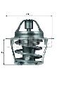 Termostat układu chłodzenia do Forda, TX 61 83, MAHLE w ofercie sklepu e-autoparts.pl 
