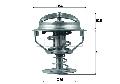 Termostat układu chłodzenia do Forda, TX 164 82D, MAHLE w ofercie sklepu e-autoparts.pl 