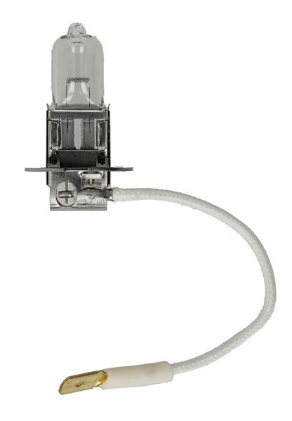 Żarówka, Pure Light WS do Opla, 1 987 302 031, BOSCH w ofercie sklepu e-autoparts.pl 