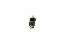 Wtryskiwacz do Nissana, 0 261 500 04R, BOSCH w ofercie sklepu e-autoparts.pl 