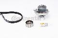 Pompa wodna + zestaw paska rozrząduCT997WP1, CONTITECH w ofercie sklepu e-autoparts.pl 