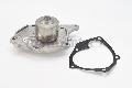 Pompa wodna do Renault, WP6008, CONTITECH w ofercie sklepu e-autoparts.pl 