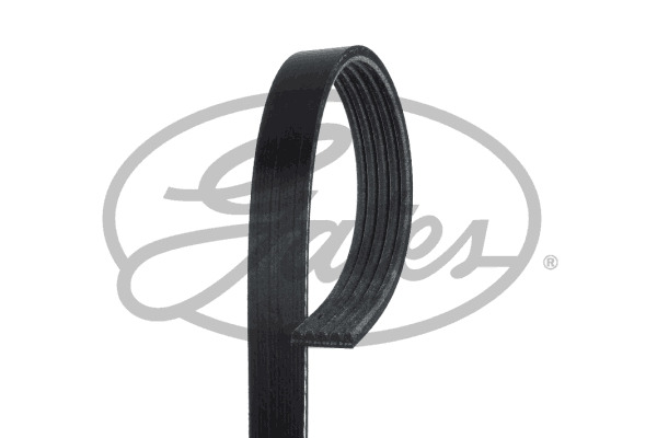 Pasek wielorowkowy (5PK1256, elastyczny)  do Mercedesa, 5PK1256EST, GATES w ofercie sklepu e-autoparts.pl 