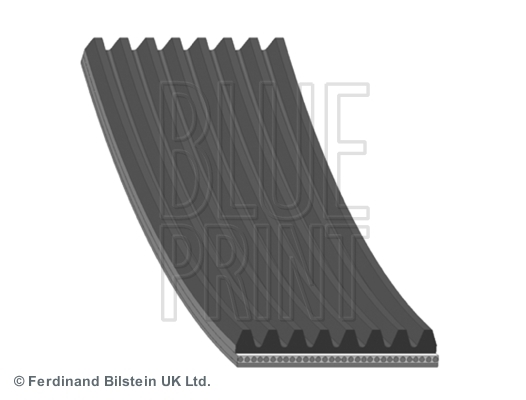 Pasek klinowy wielorowkowy AD08R1225 BLUE PRINT