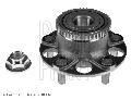 Zestaw łożysk koła do Hondy, ADH28346, BLUE PRINT w ofercie sklepu e-autoparts.pl 