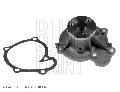 Pompa wodna do Nissana, ADN19143, BLUE PRINT w ofercie sklepu e-autoparts.pl 