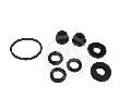 Zestaw naprawczy, pompa hamulcowa do Lanci, D1145, SEINSA AUTOFREN w ofercie sklepu e-autoparts.pl 