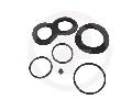 Zestaw naprawczy, zacisk hamulca do Jaguara, D4124, SEINSA AUTOFREN w ofercie sklepu e-autoparts.pl 