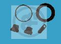 Zestaw naprawczy, zacisk hamulca do Peugeota, D4221, SEINSA AUTOFREN w ofercie sklepu e-autoparts.pl 