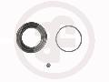 Zestaw naprawczy, zacisk hamulca do Mitsubishi, D4361, SEINSA AUTOFREN w ofercie sklepu e-autoparts.pl 
