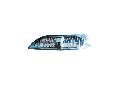 Lampa kierunkowskazu do Toyoty, 6201529, ALKAR w ofercie sklepu e-autoparts.pl 