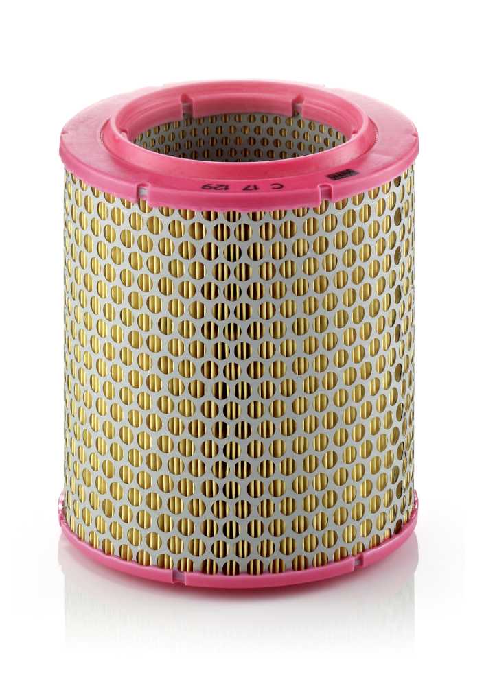 Filtr powietrza do Citroena, C 17 129, MANN-FILTER MANN+HUMMEL GMBH w ofercie sklepu e-autoparts.pl 